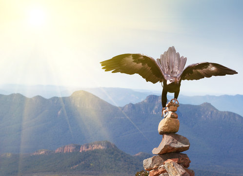 Wedge-tailed Eagle Landing On Rock Cairn On Mountain Top