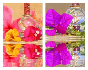 Des fioles de parfum, essence fleurie