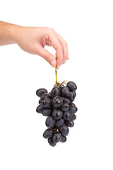 Hand holding red grape