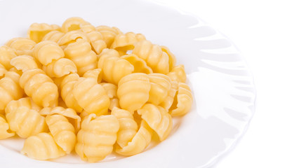 Italian pasta shells