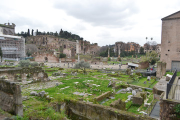 Fototapeta premium Forum Romanum in Rome, Italy