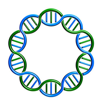 DNA Circle Strand And Seamless