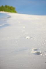 Footprints on the beach in  the Indian ocean