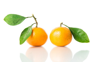 Orange fruit isolated