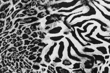 texture of print fabric striped leopard