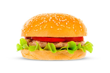 Big hamburger on white background