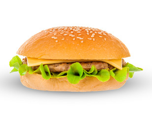 Big hamburger on white background