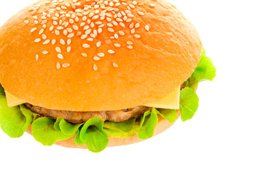 Big hamburger on white background