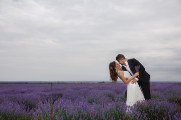 Wedding lavender field.