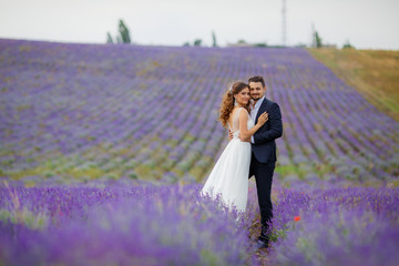 Wedding lavender field.