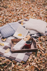 still life with tea, french loaf, knitted pillows and book 