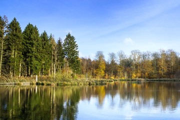 Forest lake in autumn with blue sky and reflections of trees