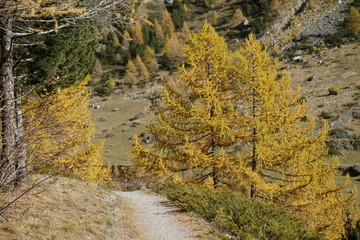 Percorso autunnale