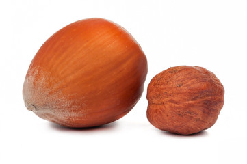 hazelnuts isolated
