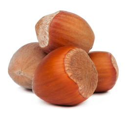 hazelnuts isolated
