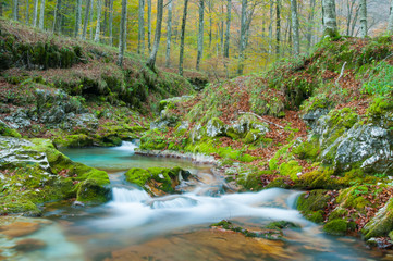 Torrente