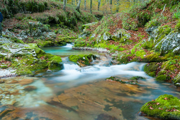 Torrente