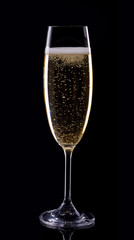 Champagne