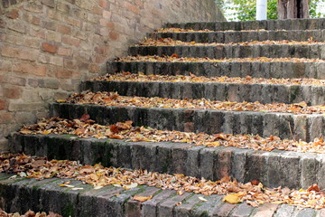 scalinata con foglie d'autunno