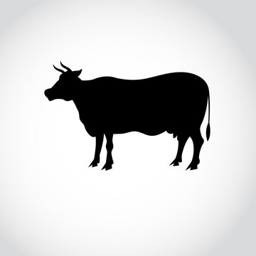 sign silhouette of a cow