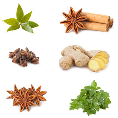 collage of different spices and herbs isolated on white backgrou
