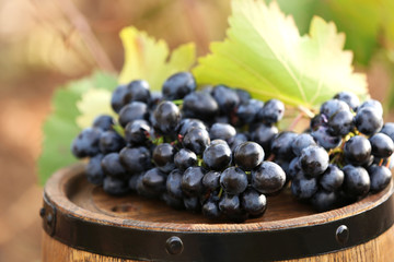 Grape on barrel, outdoors