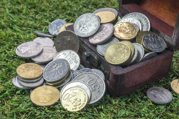 Treasure chest with coins and green grass