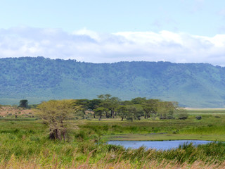 Landschaft im Ngorongoro Natinalpark Tansania Afrika