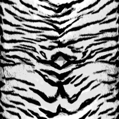 White tiger seamless pattern design, vector background