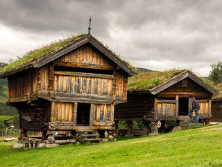 Old traditional Norwegian architecture with grass on the roof.
