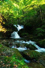 Obraz premium Mountain stream of Shimotaki at Yokokawa