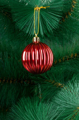 Christmas decoration on the fir tree