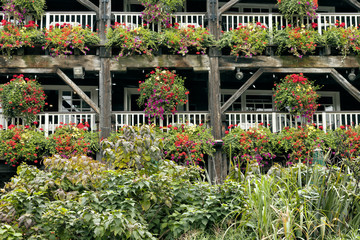 Fototapeta na wymiar Flowering hanging baskets on old wooden rustic structure