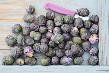 Rubine ,rode en paarse spruitkool, nieuwe groente