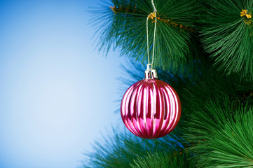 Christmas decoration on the fir tree