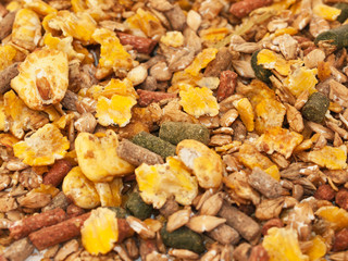 horse sportive muesli with corn flakes background
