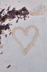 Coeur dessiné sur le sable à côté d'algues