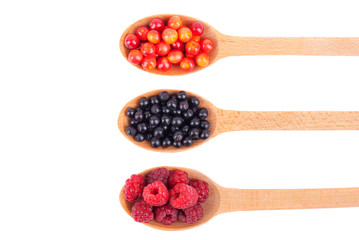 Elderberry, cranberry and raspberry in a wooden spoon .