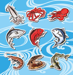Fototapeta premium 魚いろいろ