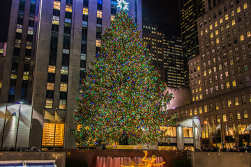 New York - DECEMBER 20, 2013: Christmas Tree at Rockefeller cent