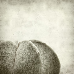 textured old paper background