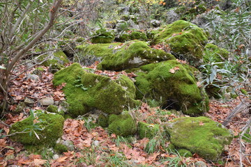 Yazılı Kanyon