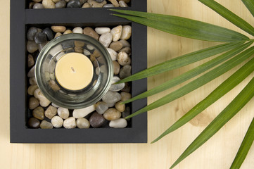 Scented Candle with Rocks and Green Plant