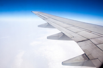 Obraz premium The plane's wings