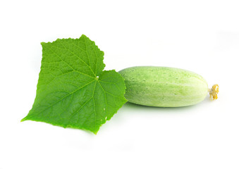 green cucumber with leaves isolated on white