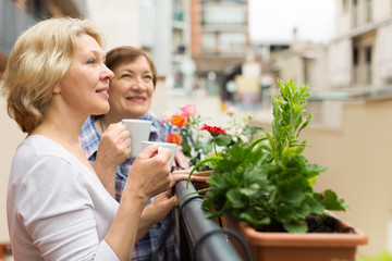 Fototapeta na wymiar Two elderly housewives drinking tea at terrace