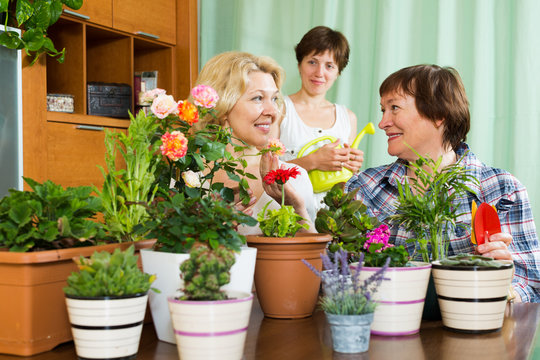  mature women  and girl  with many flowerpots