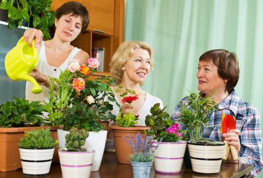  pensioners  and girl  caring for  plants