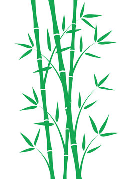 Green bamboo stems on white background