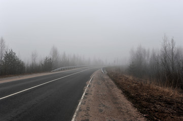 autumn road in the fog